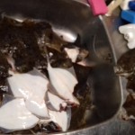 20170624_022116